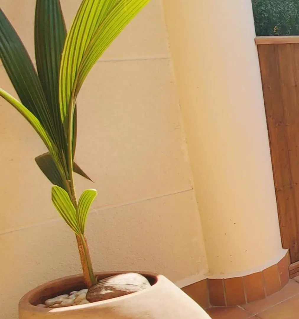 Renthappydays Comme Chez Soi B 6 Apartment Lloret de Mar